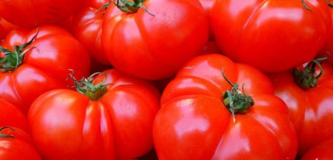 tomatoes-1024×768-1014×487